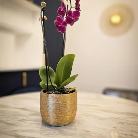 2 Etoiles Cosy Et Chic A Sur Marne Entre Et Paris Apartment